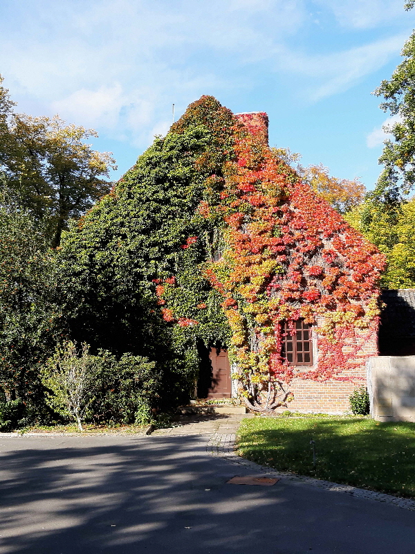 Herbst-in-Bremen-(1)_web
