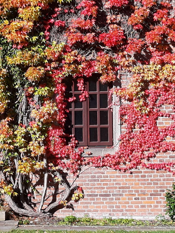 Herbst-in-Bremen-(5)_web